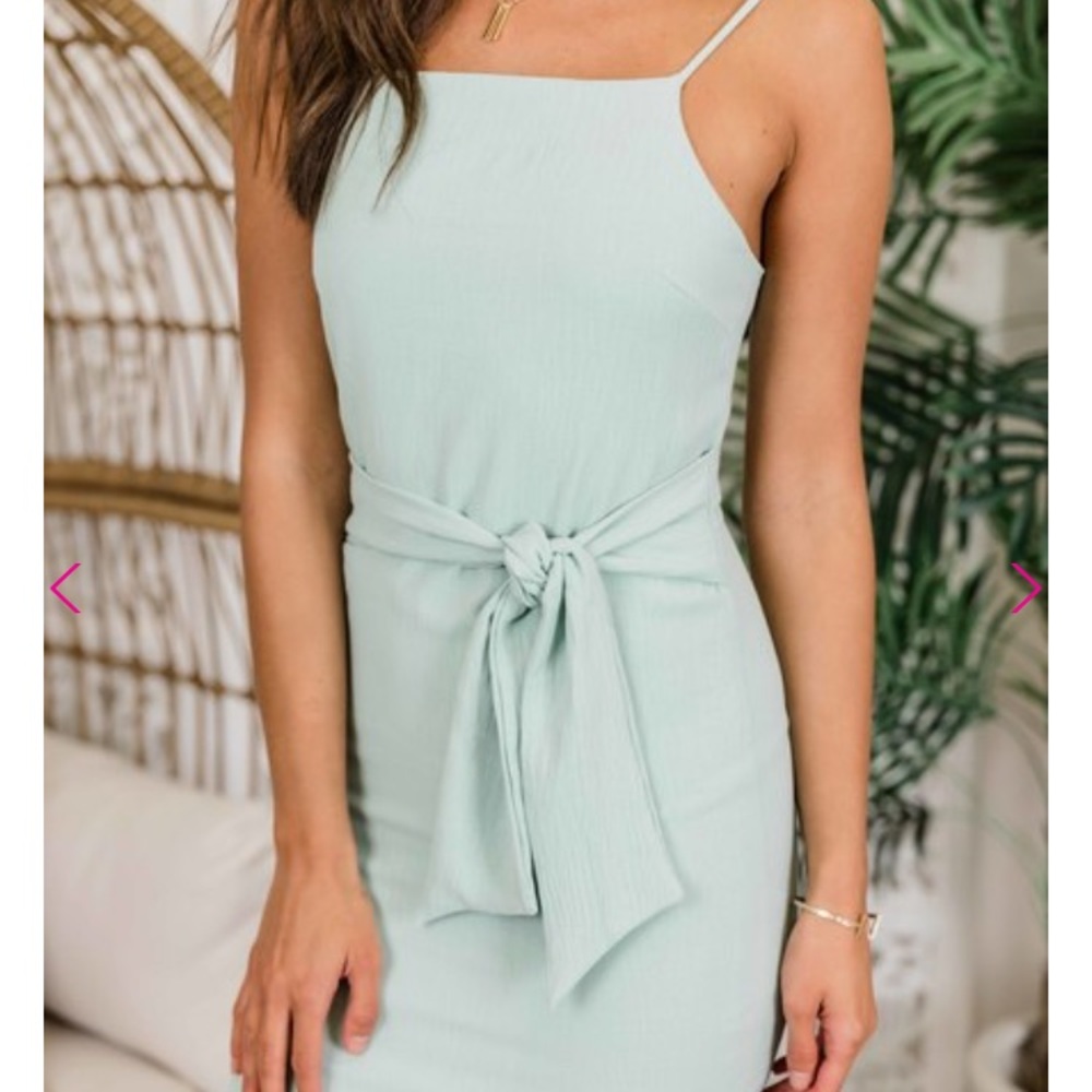 NWOT Mint Dress